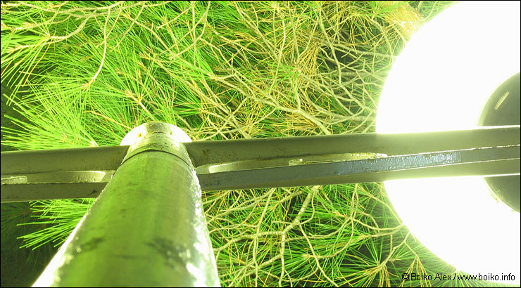 ����� �� ����������. ���������